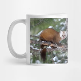 Pine Marten - Algonquin Park Mug